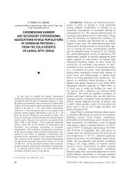 Image result for Cleome polyanthera