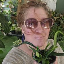 Help! I want to rescue this money tree but need advice