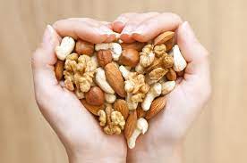 Nuts Seeds And Grains For Everyday Health Orthology