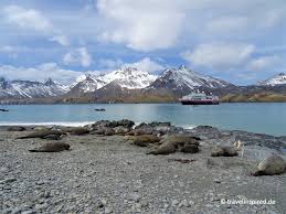 Alle jobs und stellenangebote in bamberg, bayreuth, coburg und der umgebung. Antarktis Reiseberichte Und Erfahrungen Travelinspired Reiseblog