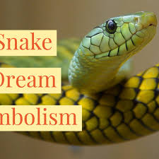 Check spelling or type a new query. The Meaning And Symbolism Of Snake Dreams Exemplore