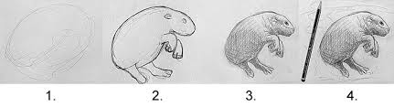 Check spelling or type a new query. Draw A Picture Step By Step