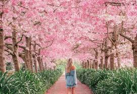 The Best Things To Do In NYC This Spring