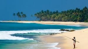 Find and compare deals on 45 hotels found in wadduwa, sri lanka from lets book hotel.com. Sea Surface Temperature In Wadduwa Sri Lanka Forecast Of Sea Temperature Change In Wadduwa