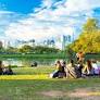 "Picnic más grande del mundo" de translate.google.com