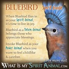 Symbolism Birds And Their Meanings Bluebird Symbolism Meaning Bluebird Spirit Totem Power Animal Animal Totem Spirit Guides Spirit Animal Quotes Power Animal