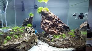 Co2 Einstellung Blasen Pro Minute Co Dungung Aquascaping Forum