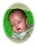 The North Georgia News