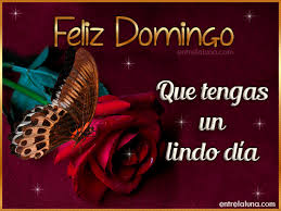 Bless you, you were one of life's treasures. Dios Te Bendiga Mi Amor Te Deseo Un Lindo Domingo Lleno De Paz Y Alegria Y Que Este Dia Este Lleno De Muchas Bendiciones Tqm