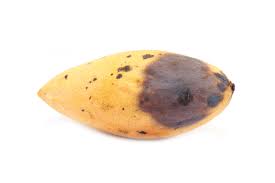Ich esse die schale der mango leidenschaftlich gerne. Mango Innen Braun Ursachen Vorbeugende Massnahmen