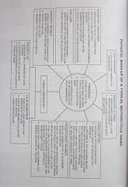 Gangster Biker Bikergang Motorcycle Structure Organizedcrime Organized Crime Gangster Biker Gang