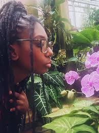 hiking connections in georgia