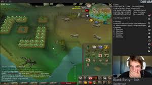 Farming Flower Patch Osrs Cute766