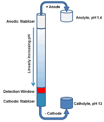 Help With Cathode/Anode Charge? : R/Mcat