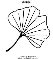 I think that this is important for kids to learn so they are not disappointed when the background hides the details. Dnr Coloring Pages Plants