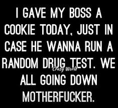 My Boss Told Me To Have A Good Day Meme Pin On Gifs
