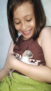 💝 CaldaniCAT's Gilly 💝 SOM n