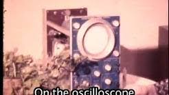 Come here to have fun, be ready to be teased and not take online life too seriously. Music Of The Plants Youtube