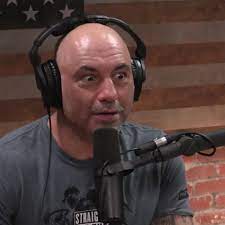 American martial artist, podcaster, sports commentator and comedian. This Ai Generated Joe Rogan Fake Has To Be Heard To Be Believed The Verge