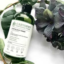 caryophy portulaca toner review anti aging skin products toner skin nutrition