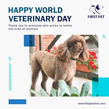What is an emergency veterinary clinic? First Pet Veterinary Clinic And Grooming Home Facebook