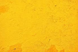 Yellow Wallpapers Free Hd Download 500 Hq Unsplash