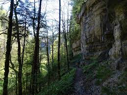 We did not find results for: The Top Mtb Rides In Canton Jura Find Your Trail Outdooractive