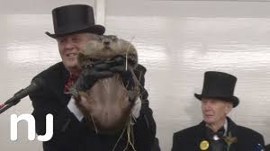 The Famous Groundhogs Don'T See Their Shadows