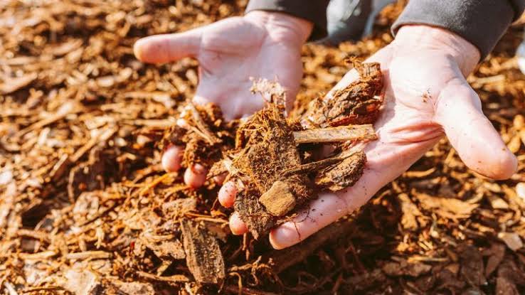 Does Mulch Lose Its Effectiveness In Arizona Summers? - A&A Materials Inc