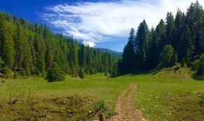 Wherever you want to go in the forest region, we have the maps and guides for you. Best Trails In Lincoln National Forest New Mexico Alltrails