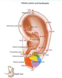 Ear Acupuncture Acupoint