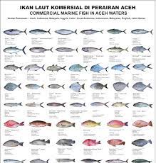 Maksudnya adalah semua jenis ikan laut baik yang bisa dikonsumsi maupun yang untuk ikan hias disebutkan. Pin Di My Saves