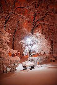 Natar Places Around The World Winter In Bucharest 2020 Photo Dragos Asaftei Places Around The World Bucharest Photo