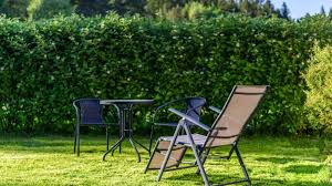 Let's say you plant a row of leyland cypress (please don't, here's why), and the bagworms show up and defoliate all of them.there goes your investment. Down In The Garden Cover Up With Screening Plants Central Coast Community News