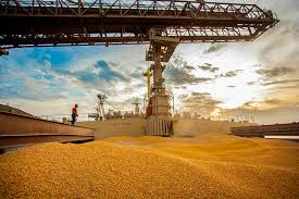 Chanceller Brasil - Agronegócio news
