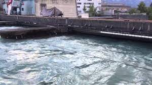 Bei weiteren regengüssen bleibt also die hochwassergefahr gross und auch in bern könnte dies zu heiklen situationen führen. Aare Hochwasser In Thun 2015 Youtube