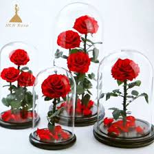 Maybe you would like to learn more about one of these? Everlasting Stabilized Red Roses In Bell Jars With Black Gift Box S M L Xl Glass Sizes Available China Forever Roses In Glass And Dome Glass Price Made In China Com