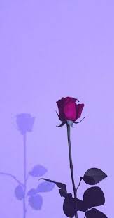 Aesthetic Wallpaper Pastel Violet 33 Ideas Dark Purple Aesthetic Purple Aesthetic Purple Wallpaper