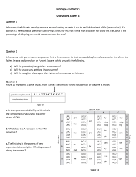 Complimentary base pairing simply means adenine bonds with thymine (or uracil in rna), and guanine bonds with cytosine. Student Handout 04 Worksheet B Short Answers