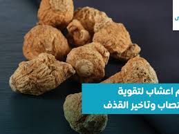 علاج البرد في الذكر بالأعشاب / علاج الربو عند الرجال بالأعشاب الطبيعية / علاج البوصفير بالأعشاب الطبيعية في ظرف ثلاث أيام عن تجربة tel:. Ù†Ø´Ø± Ø¨Ø¥Ø®Ù„Ø§Øµ Ø§Ù„ØªØ¬Ø§Ø±Ø© Ø§Ø¹Ø´Ø§Ø¨ Ù…Ù†Ø´Ø·Ø© Ù„Ù„Ø±Ø¬Ø§Ù„ Comertinsaat Com