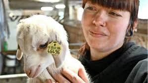 Karolinenhof: 170 Lämmer! Am 17. Februar ist Saisonstart