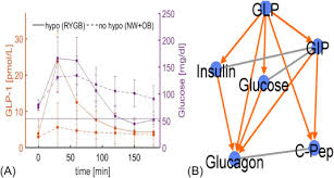 Glucagon for injection is not indicated for the emergency treatment of hypoglycemia because it is not packaged with a syringe and diluent necessary for rapid preparation and the concomitant use of indomethacin and glucagon for injection may lead to hypoglycemia. Glucagon Like Peptide 1 Glp 1 Drives Postprandial Hyperinsulinemic Hypoglycemia In Pregnant Women With A History Of Roux En Y Gastric Bypass Operation Sciencedirect