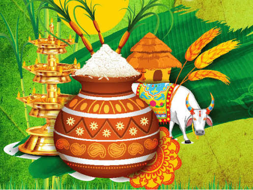 ಮಕರ ಸಂಕ್ರಾಂತಿ ಹಬ್ಬದ ಮಹತ್ವ ಮತ್ತು ವಿಶೇಷತೆ | Jnana Kirana