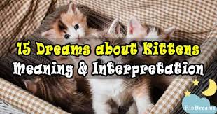 15 Dreams About Kittens Meaning Dream Meanings Kittens Meant To Be