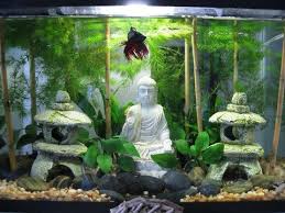 Kimotion75 Uploaded This Image To Betta See The Album On Photobucket Cool Fish Tanks Betta Fish Tank Fish Tank Decorations