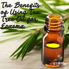 In this article you will find a detailed in this article useful tea tree oil recipes for practical use are also listed. How To Use Tea Tree Oil For Eczema Itchylittleworld Com