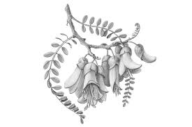 We did not find results for: Kowhai Flowers Pencil Illustration Pencil Drawings Of Flowers Pencil Illustration Illustration