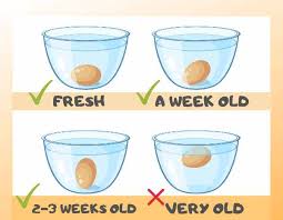 How To Test Eggs For Freshness Complete Guide For Raw And Hard Boiled