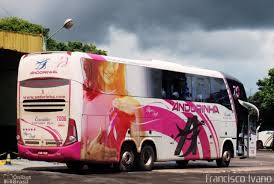 Pin Em Onibus