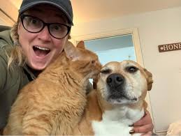 Pet check-ins and dog walking services available